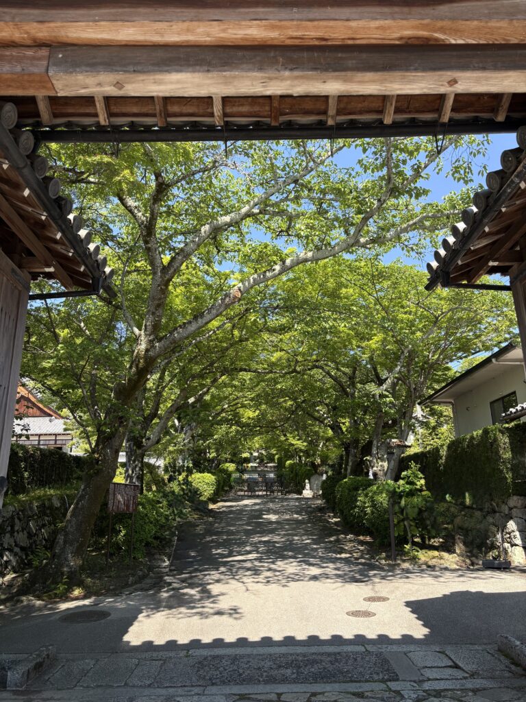 西教寺　総門をくぐった先　画像