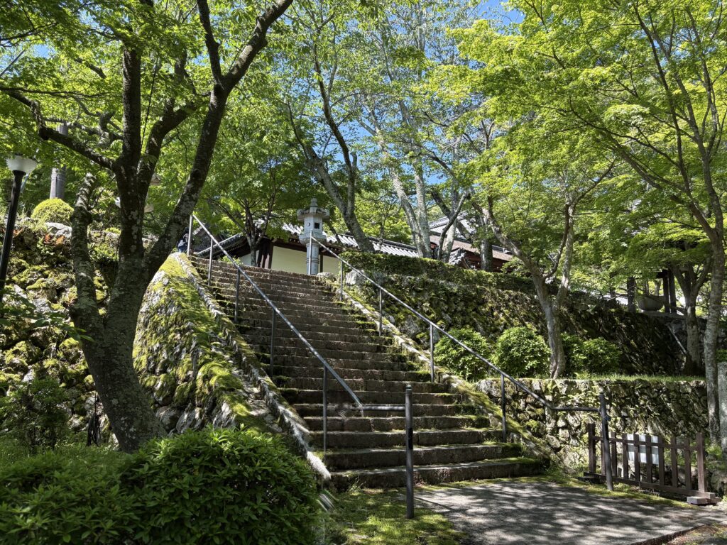 西教寺　新緑の境内　画像