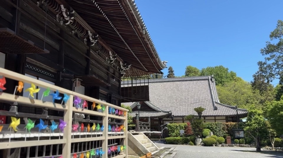 西教寺　「本堂」と「大本坊」　画像