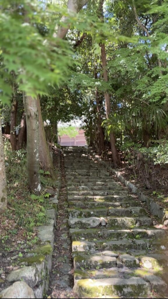 西教寺　境内　画像