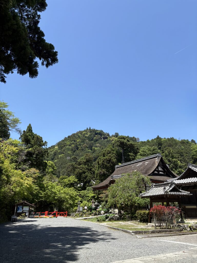 日吉大社　鳥居をくぐって入口までの風景　画像