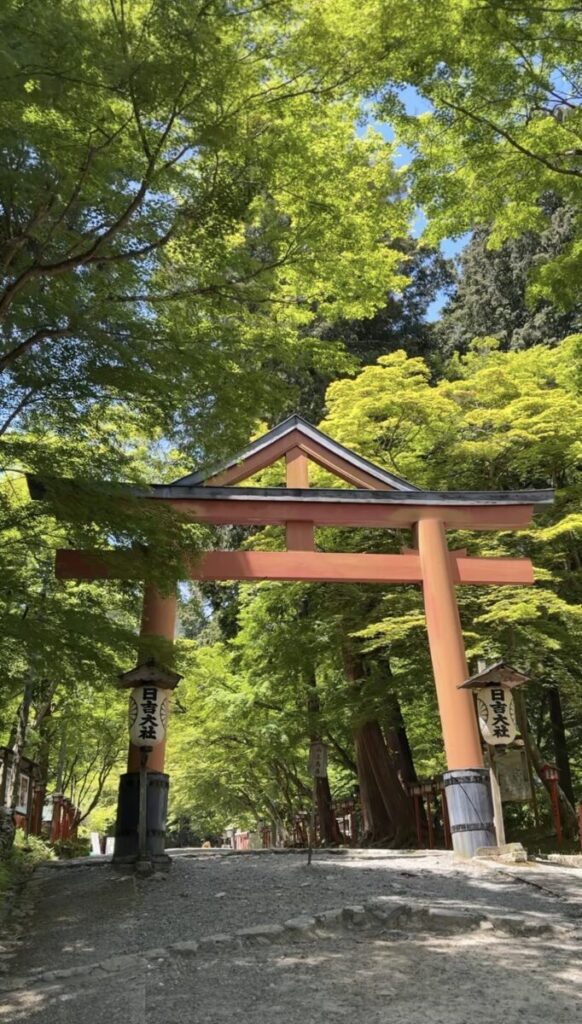 日吉大社　山王鳥居　画像