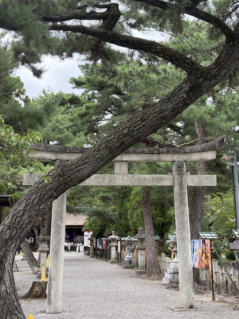 建部大社　鳥居からの風景